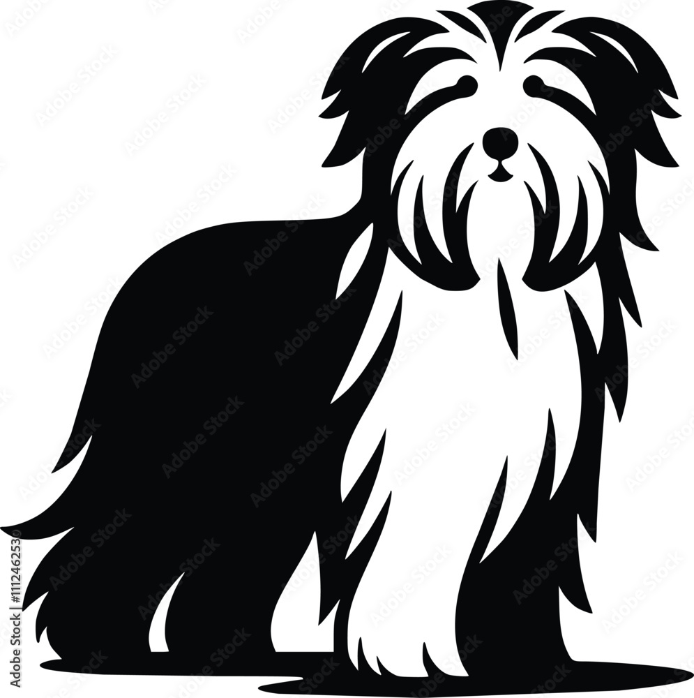 Fototapeta premium Bearded Collie Black and White Illustration