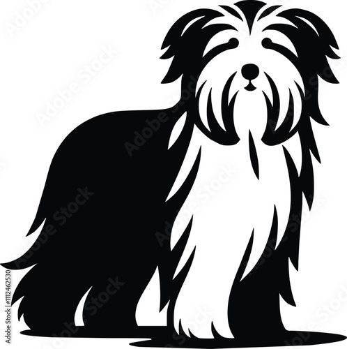 Wallpaper Mural Bearded Collie Black and White Illustration Torontodigital.ca