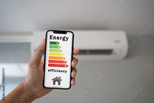Energy levels can be viewed on mobile phones.