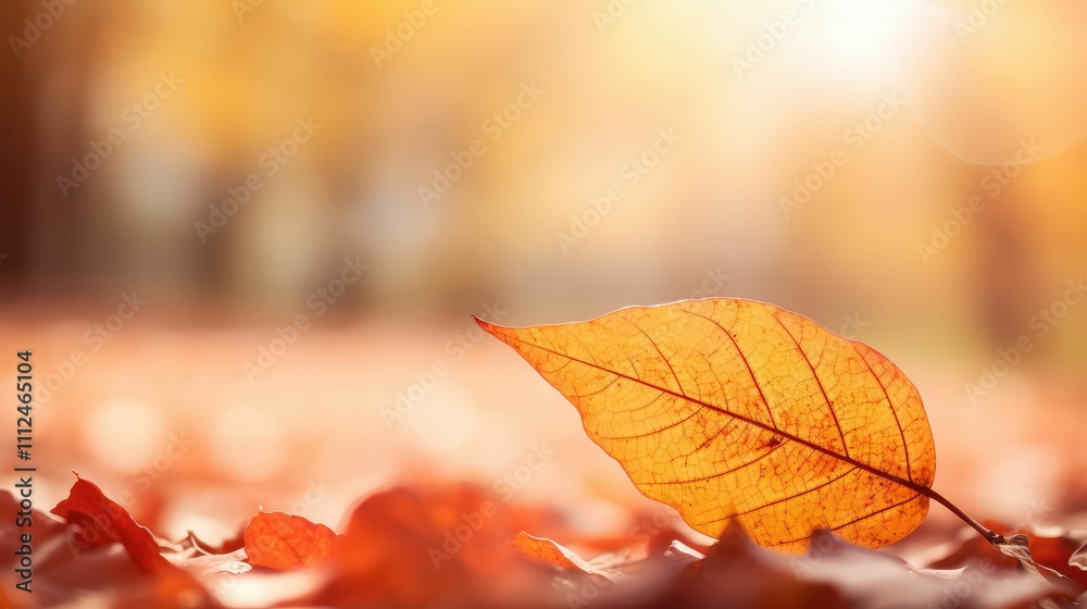 Obraz premium vibrant leaf background