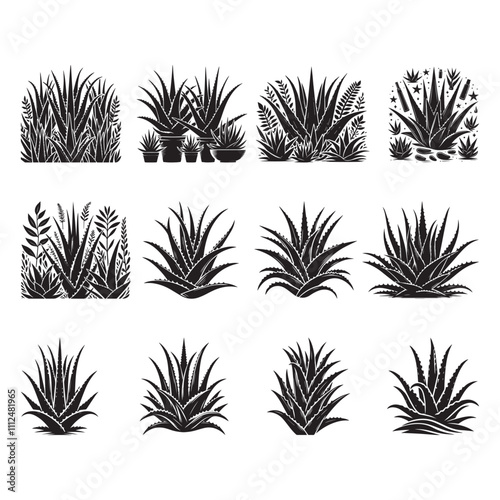 Black Color Aloe Vera Silhouette Vector Illustration, Solid White Background.