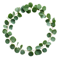 Botanical eucalyptus wreath frame isolated, elegant floral circle design, vintage greenery wedding invitation border