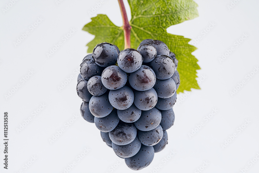 Fototapeta premium Selective focus bunch of grape with leaf isolated on white background, Close up shot purple grapes on white.