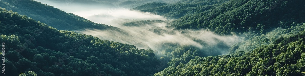 Mist over lush green valley in morning light Mist over lush green valley in morning light