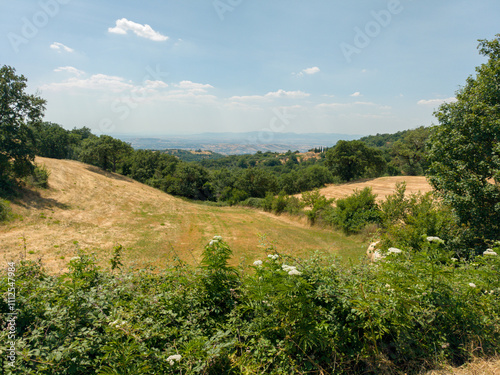 landscape in the mountains
