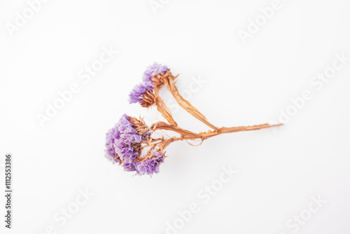 Dried flowers, purple dried, statice, caspia on white table, selective focus. photo