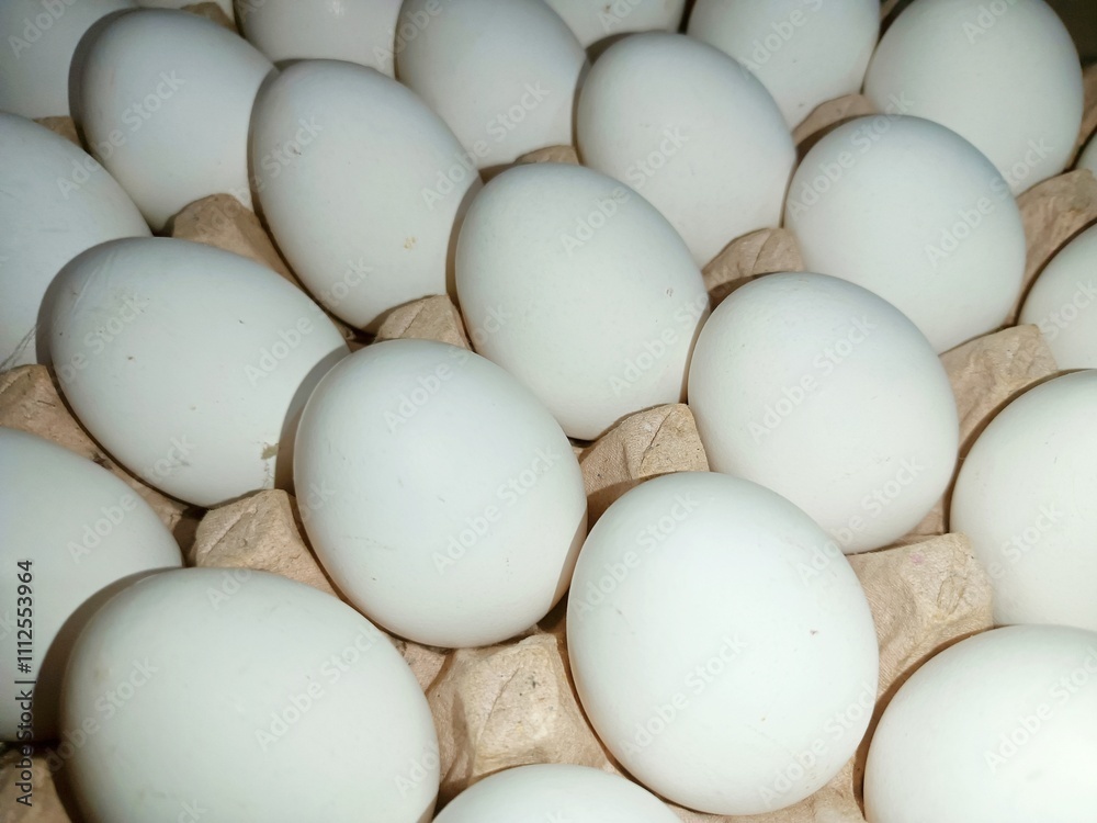 white eggs in a carton raw chicken eggs in paper egg tray on white background. Group of Fresh white Eggs in a cardboard cassette. Organic food from nature good for health white eggs in a carton raw chicken eggs in paper egg tray on white background. Group of Fresh white Eggs in a cardboard cassette. Organic food from nature good for health