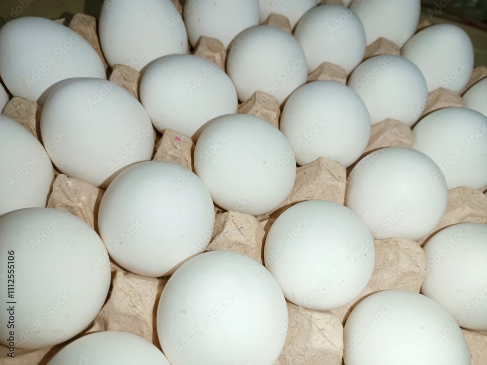 White eggs in trey box raw chicken eggs in paper egg tray on white background. Group of Fresh white Eggs in a cardboard cassette. Organic food from nature good for health White eggs in trey box raw chicken eggs in paper egg tray on white background. Group of Fresh white Eggs in a cardboard cassette. Organic food from nature good for health
