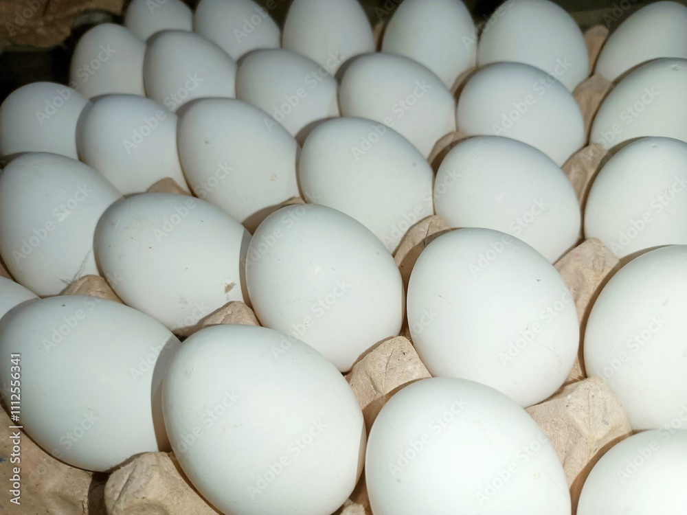 eggs in a carton raw chicken eggs in paper egg tray on white background. Group of Fresh white Eggs in a cardboard cassette. Organic food from nature good for health eggs in a carton raw chicken eggs in paper egg tray on white background. Group of Fresh white Eggs in a cardboard cassette. Organic food from nature good for health