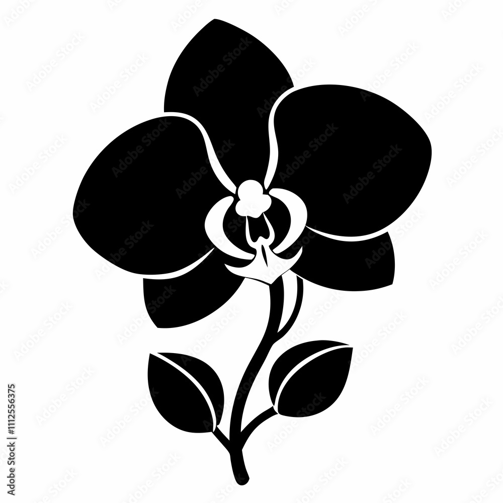 Orchid Elegance vector silhouette black design white background Orchid Elegance vector silhouette black design white background
