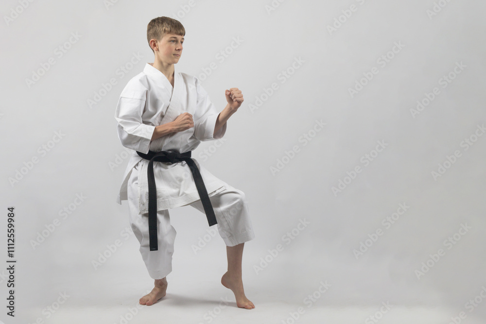 Fifteen year old male teenage karate black belt in a cat stance ready to spar, studio shot against a white background Fifteen year old male teenage karate black belt in a cat stance ready to spar, studio shot against a white background
