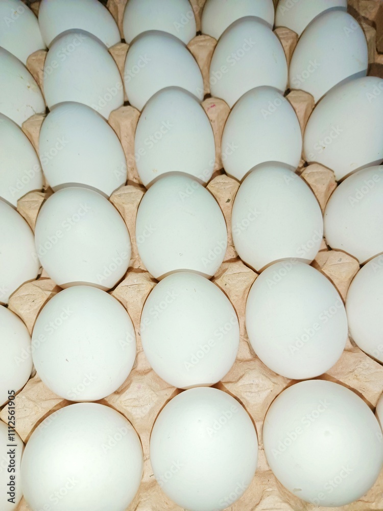 White eggs in trey raw chicken eggs in paper egg tray on white background. Group of Fresh white Eggs in a cardboard cassette. Organic food from nature good for health White eggs in trey raw chicken eggs in paper egg tray on white background. Group of Fresh white Eggs in a cardboard cassette. Organic food from nature good for health
