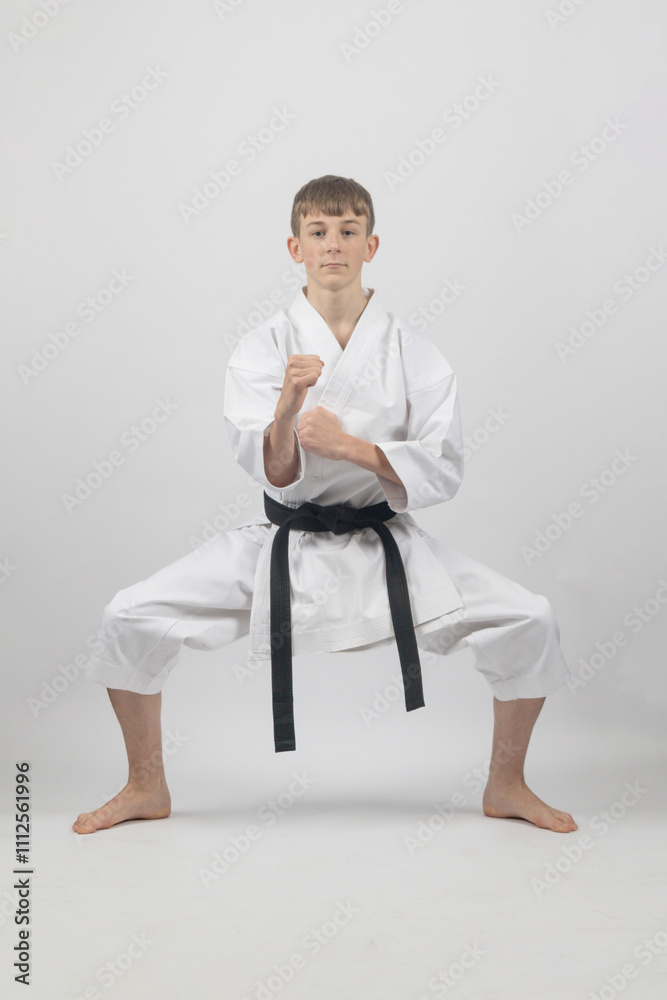 Fifteen year old male teenage karate black belt standing in a low stance, studio shot against a white background Fifteen year old male teenage karate black belt standing in a low stance, studio shot against a white background