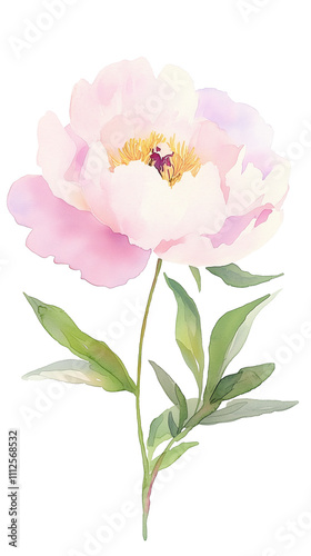 watercolour clipart of pink peony on transparent background