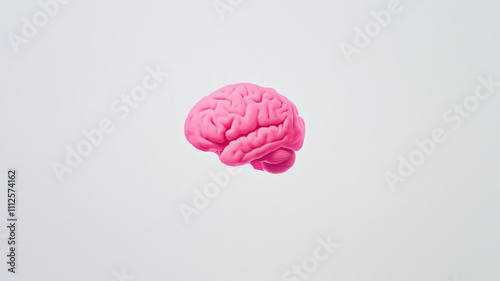 Human brain pink color on white background, anatomy and biology. Concept banner template of idea, mental development, artificial intelligence and brain diseases with space for text