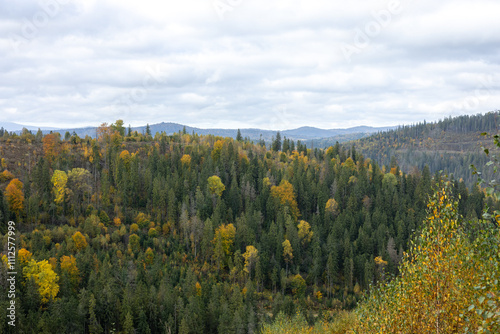 Autumn landscape in the mountain