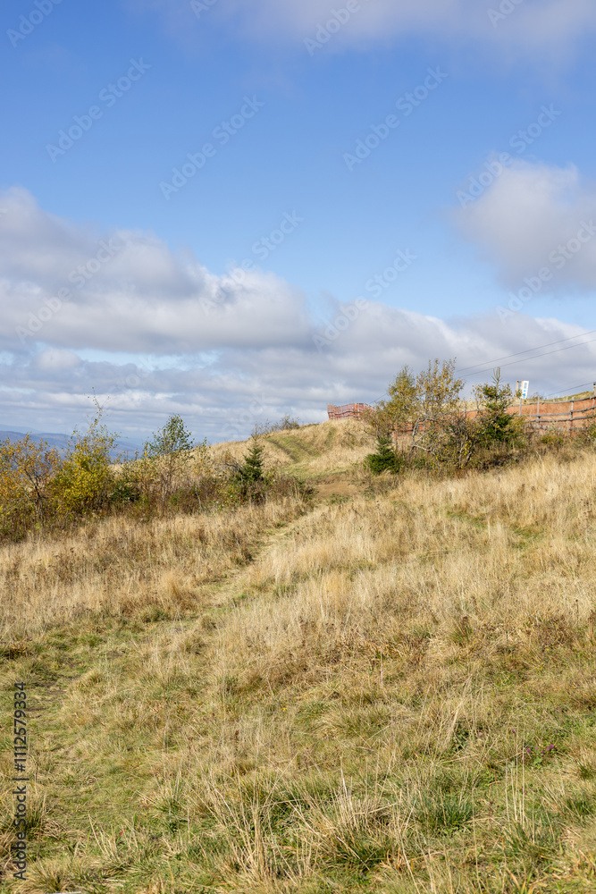 Yellow grass on an autumn hill
