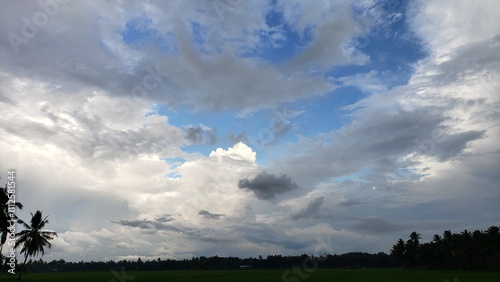 Cloudy Sky Over Lush Green Field with Palm Trees