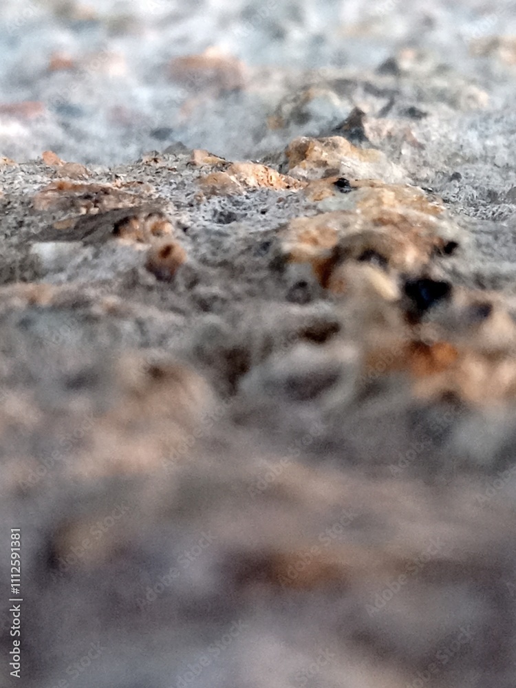 stony surface stony surface