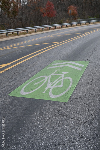 Green sharrow symbol for bicycle lane on a street