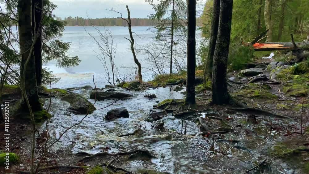 Enjoy a Serene Lakeside View Surrounded by a Lush and Vibrant Green Forest Landscape Enjoy a Serene Lakeside View Surrounded by a Lush and Vibrant Green Forest Landscape