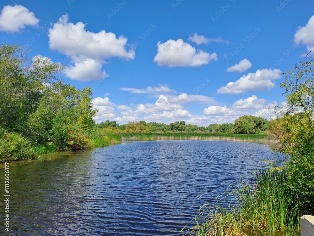 landscape with lake landscape with lake