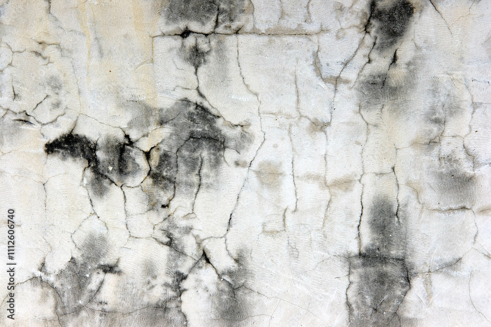 Naklejka premium texture of stone