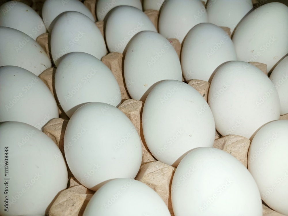 White eggs in trey raw chicken eggs in paper egg tray on white background. Group of Fresh white Eggs in a cardboard cassette. Organic food from nature good for health White eggs in trey raw chicken eggs in paper egg tray on white background. Group of Fresh white Eggs in a cardboard cassette. Organic food from nature good for health