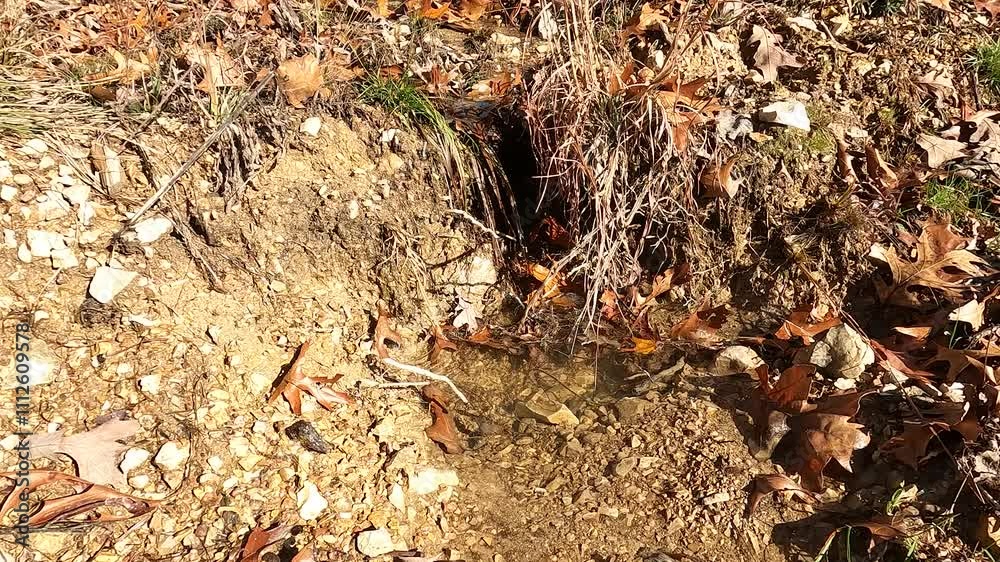 Small Creek Stream Water Waterfall, Trickle Down Rocks, Autumn Fall, Trickling Ripples, Leaves, Leaf Small Creek Stream Water Waterfall, Trickle Down Rocks, Autumn Fall, Trickling Ripples, Leaves, Leaf