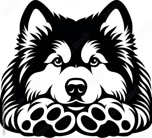 Alaskan Malamute Dog Silhouette - Black Vector Cricut Design for T-Shirt Printing