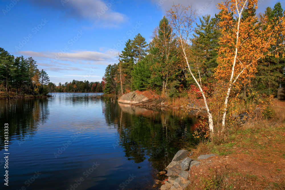 Fototapeta premium Sapphire in Autumn
