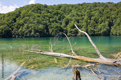 Fototapeta Naklejka Na Ścianę i Meble -  Wooden trunk on a Plitvice Lakes National Park - Europe - Croatia