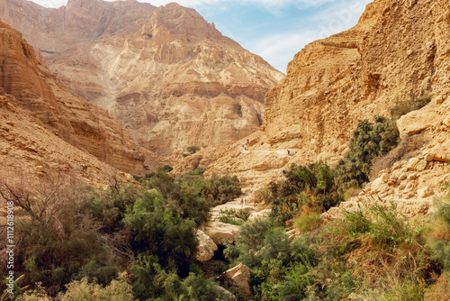 Wadi Arugot National Park is a desolate rocky landscape photo