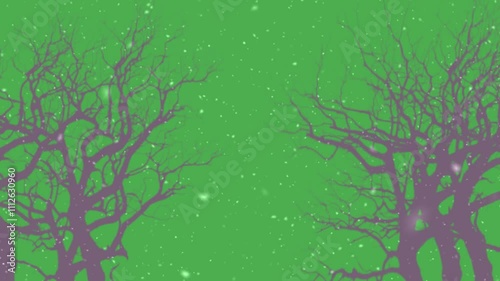 outdoors, branches with beautiful snowdrops