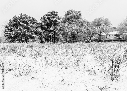 Solihull Park with Snow photo