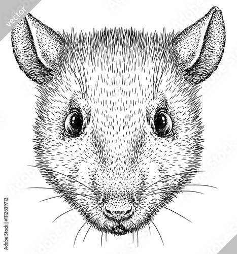 Vintage engraving isolated mouse set illustration mice ink sketch. Rat background rodent silhouette hamster art. Black and white hand drawn vector image