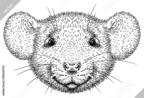 Vintage engraving isolated mouse set illustration mice ink sketch. Rat background rodent silhouette hamster art. Black and white hand drawn vector image