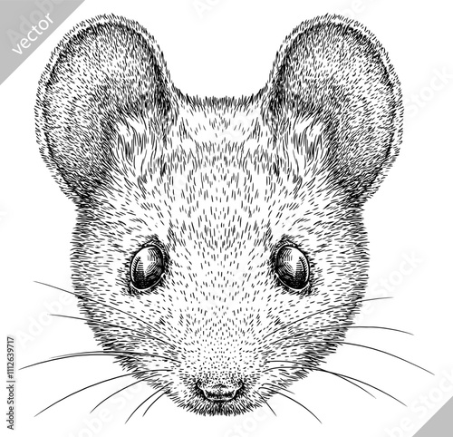 Vintage engraving isolated mouse set illustration mice ink sketch. Rat background rodent silhouette hamster art. Black and white hand drawn vector image