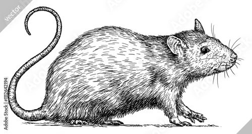 Vintage engraving isolated mouse set illustration mice ink sketch. Rat background rodent silhouette hamster art. Black and white hand drawn vector image