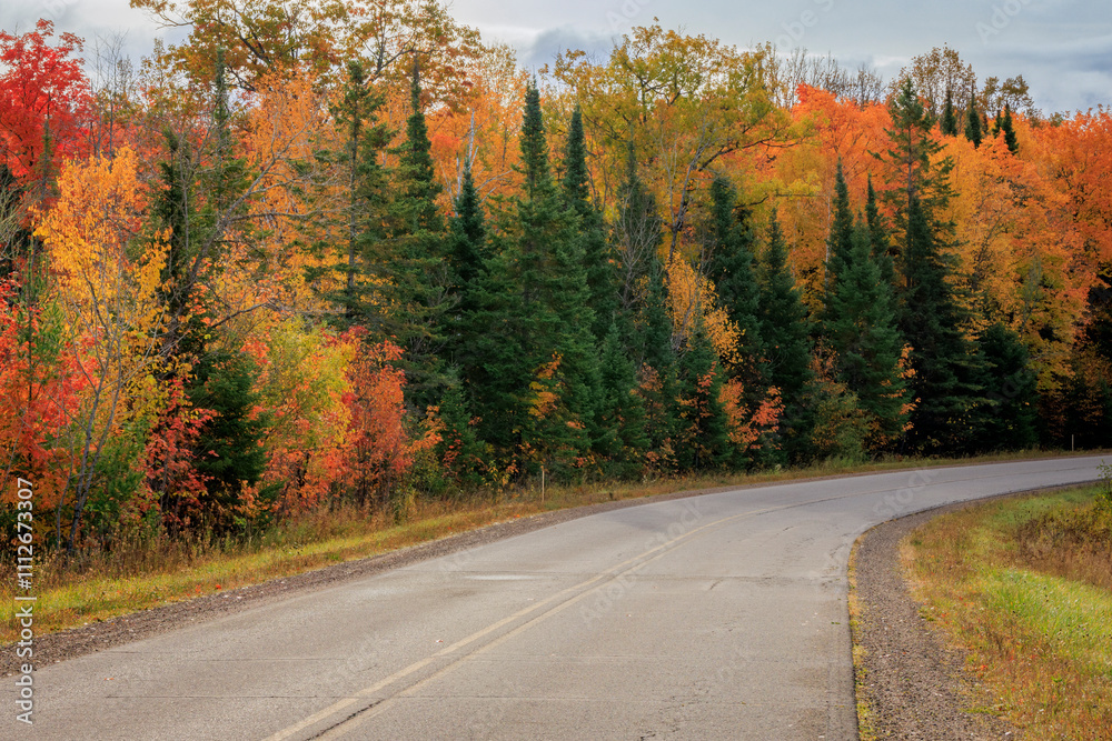 Fototapeta premium Groveland Mine Road