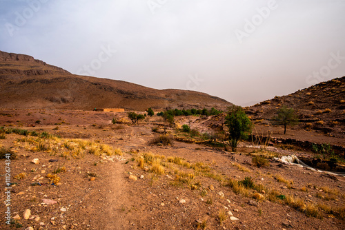 2024 03 13 Jebel Saghro Atlas oasis 582024 03 13 Jebel Saghro Atlas oasis 58