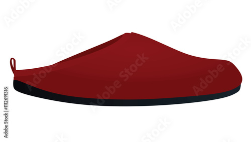 Red home footwear. vector illustration