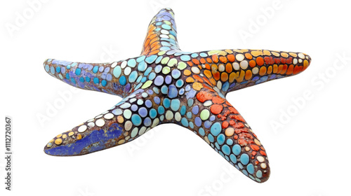 Starfish transparent background photo