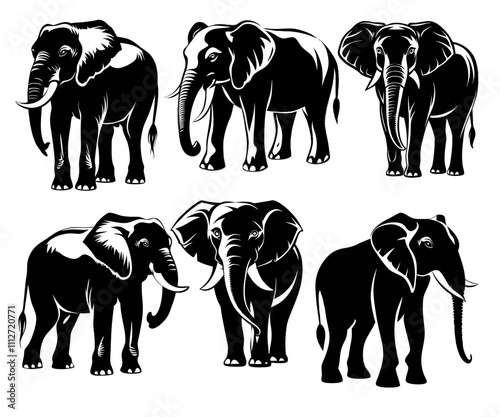 elephants silhouette collection