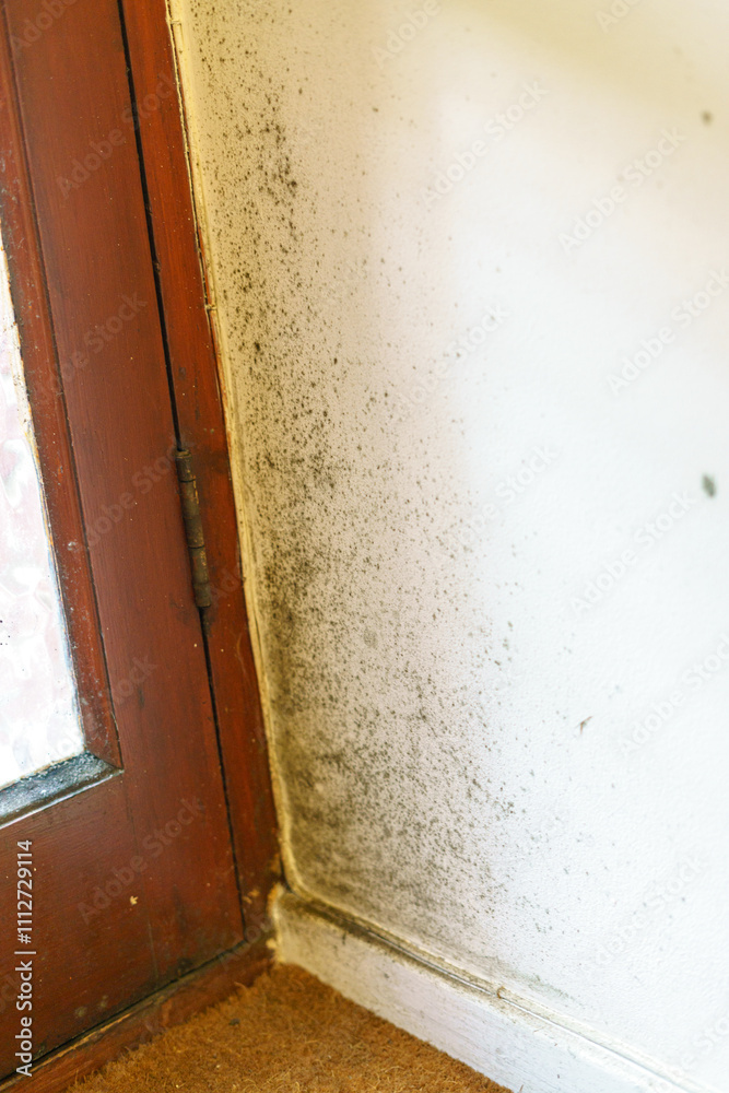 Mould in the ceiling of a bathroom Mould in the ceiling of a bathroom