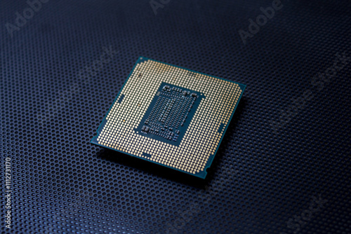 Canvas Print Photograph the pins of a computer processor