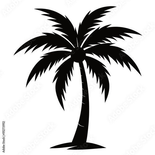 silhouette of palm tree