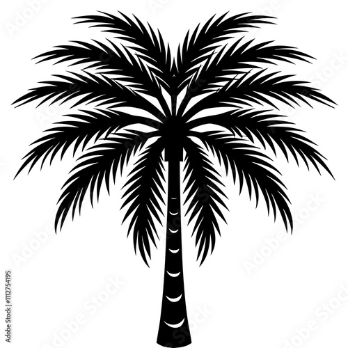 palm silhouette