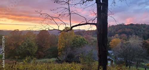 Foto sunset in the forest