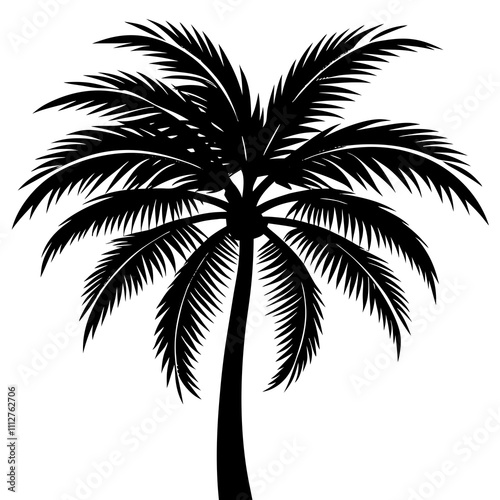 palm tree silhouette